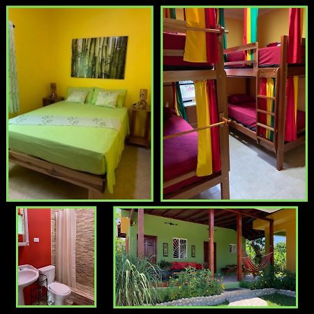 Green Queendom Farm And Lodging Oracabessa Dış mekan fotoğraf