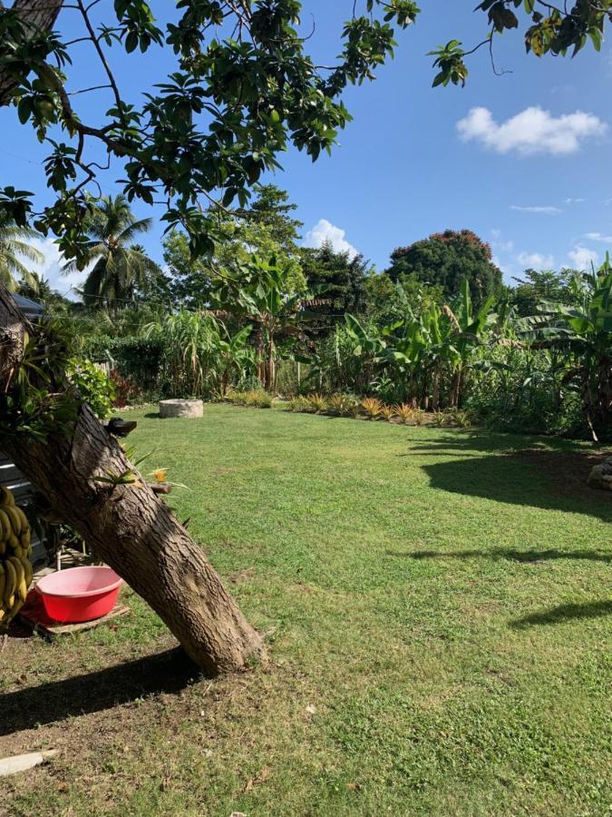 Green Queendom Farm And Lodging Oracabessa Dış mekan fotoğraf