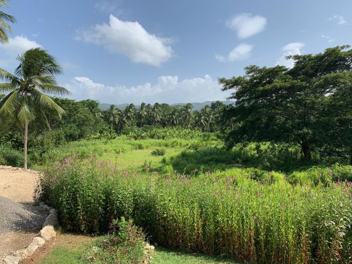 Green Queendom Farm And Lodging Oracabessa Dış mekan fotoğraf