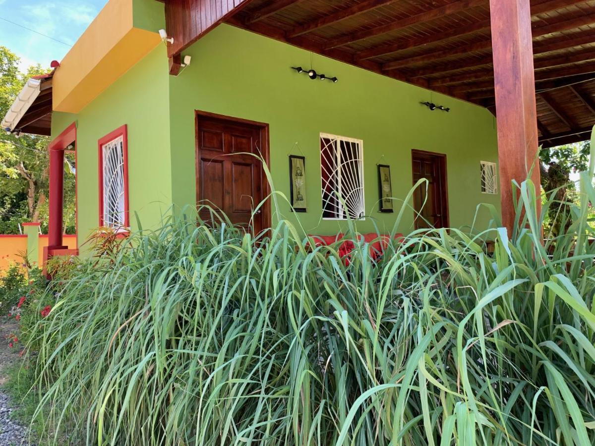 Green Queendom Farm And Lodging Oracabessa Dış mekan fotoğraf